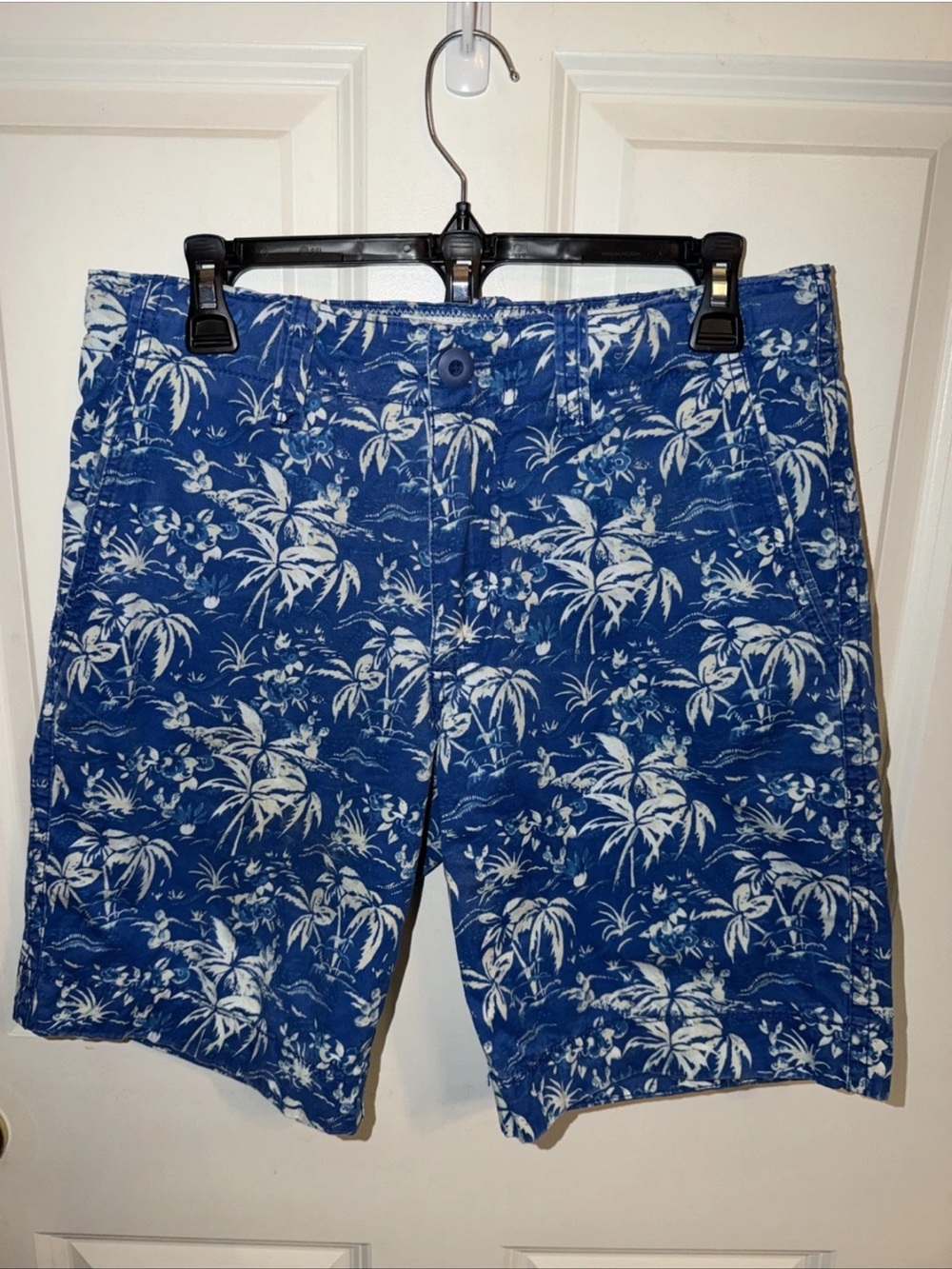 Aeropostale Mens Blue Tropical Palm Tree Print Cotton Shorts Size 28 Summer